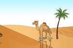 Camel Desert Escape