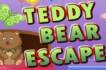Birthday Teddy Bear Escape