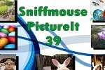 Sniffmouse PictureIt 39