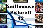 Sniffmouse PictureIt 42