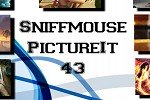 Sniffmouse PictureIt 43