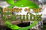 Magic Forest of the Druids