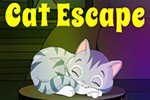 G4K Cat Escape