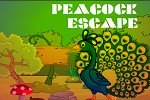 g4k Peacock Escape
