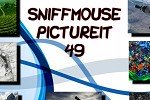 Sniffmouse PictureIt 49