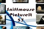Sniffmouse PictureIt 57