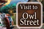 Visit to Owl Street