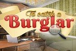 To Catch a Burglar