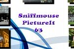 Sniffmouse PictureIt 63