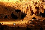 Cave 7 Escape