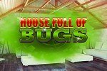 House Full of Bugs