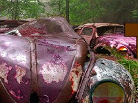 Abandoned Cars in Forest Escape