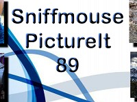Sniffmouse PictureIt 89