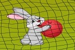 Escape Bunny From Snare
