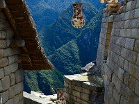 Machu Picchu Mystery Escape