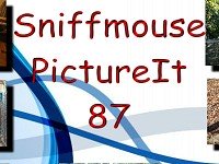 Sniffmouse PictureIt 87
