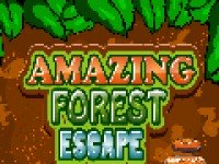 Amazing Forest Escape