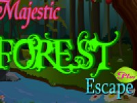 Majestic Forest Escape