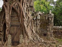Escape Ancient Temple
