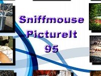Sniffmouse PictureIt 95
