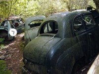 Bastnas Car Graveyard Escape