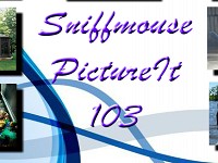 Sniffmouse PictureIt 103