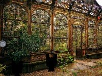 Abandoned Botanical Garden Escape