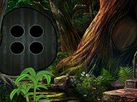 Amanita Mushroom Forest Escape