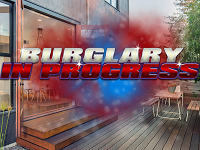 Burglary in Progress