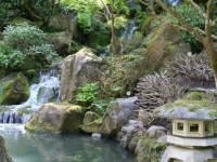 Crystal Hunter Zen Gardens