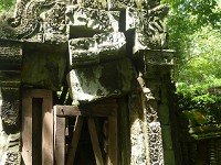 Ancient Jungle Ruins Escape