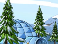Penguin Rescue From Igloo House