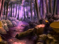 Soothing Forest Escape