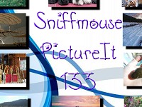 Sniffmouse PictureIt 133