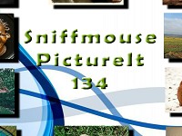 Sniffmouse PictureIt 134