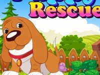 g4k Puppy Rescue