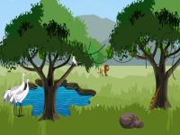 Animal Forest Boat Escape