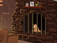 Rescue The Baby Bear