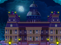 Theft In Governor House