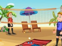 Find The Beach Volleyball