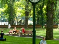 Sneaky Search Easter Bunnies