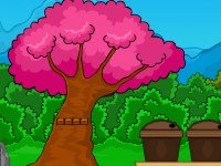 Forest Elephant Rescue Escape