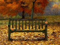 Sneaky Search Pumpkins