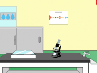 Escape From The Science Room