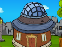 Yellow Rooster Rescue