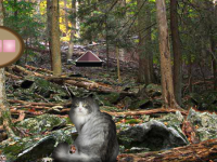 Norwegian Cat Forest Escape