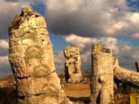 Beach Flamingo Escape