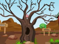 The Boy Rescue Escape