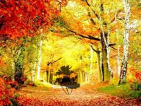 Hidden Thanksgiving Turkey Escape