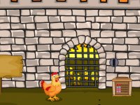 Hen and Chicks Escape